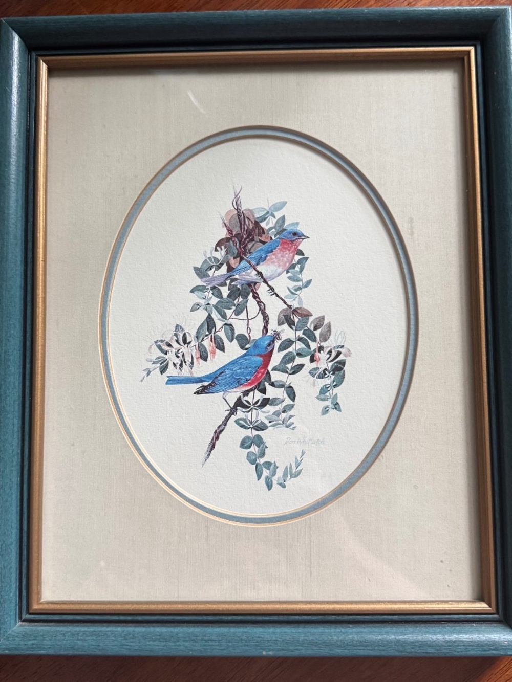 Don Whitlatch Eastern Bluebird Framed Matted Lithograph 9.25" x 11.25" Vintage